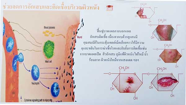 betaglucan-maho_heal lesion