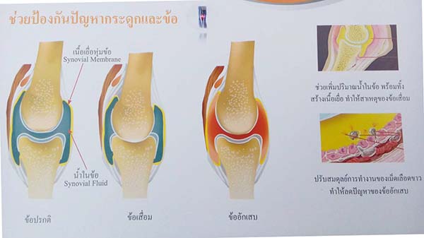 increase Synovial Fluid_betaglucan-maho