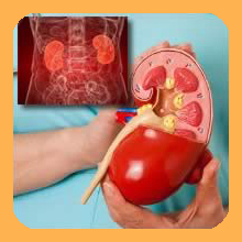 Chronic renal failure_heal maho betaglucan