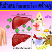 liver disease -maho